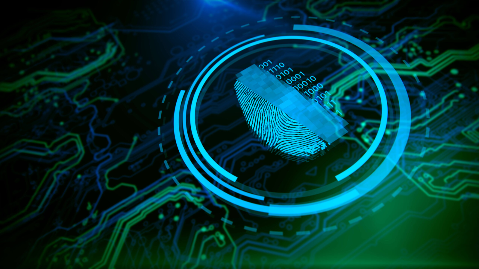 The Beginner’s Guide to Cyber Security